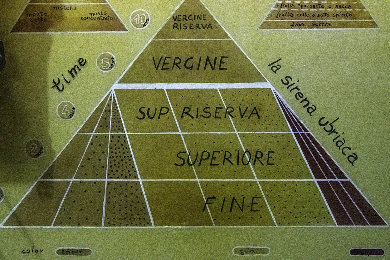 Marsala-classification-scheme.jpg