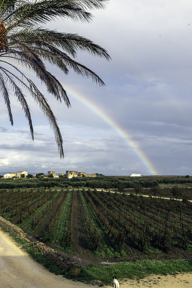 Rainbow-at-Baglio-Donna-Franca.jpg