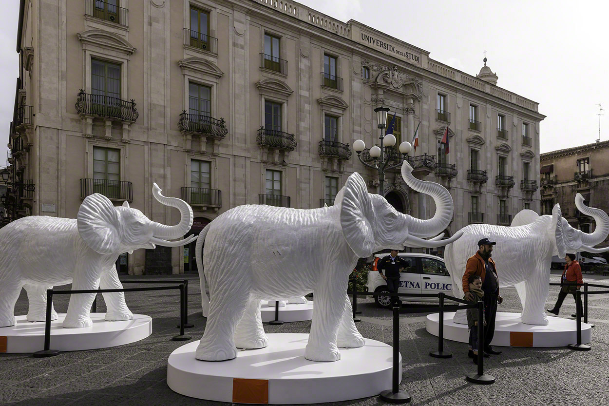 White-Elephants,-Piazza-del-Duomo.jpg