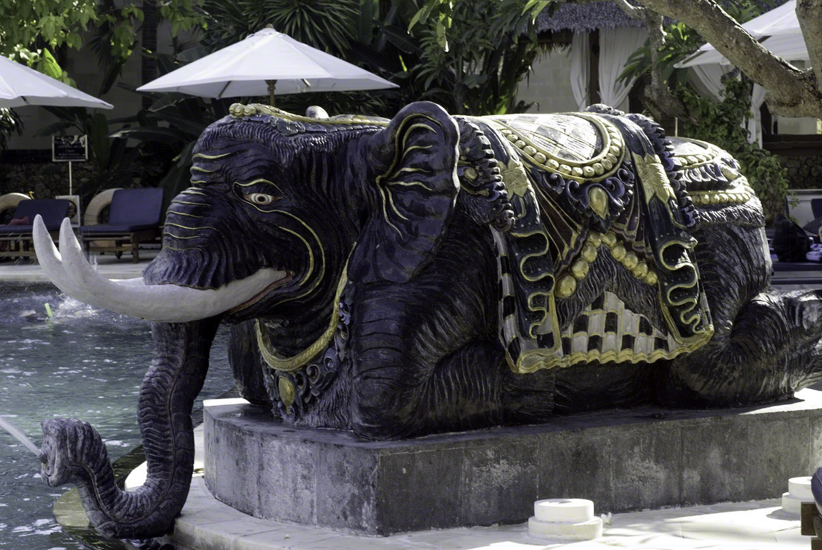 Elephant-Statue-by-Pool.jpg