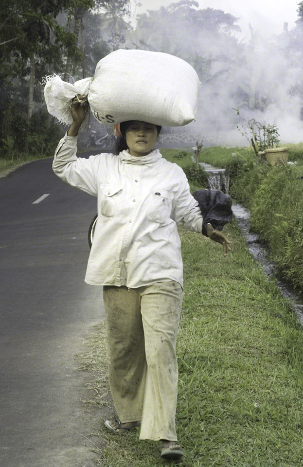 Rice-Worker-1.jpg