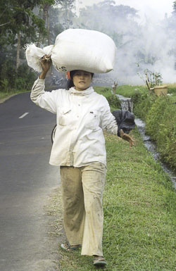 Bali - Ubud