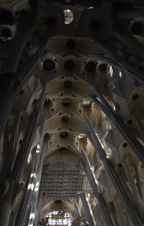 Sagrada-Familia-Ceiling.jpg