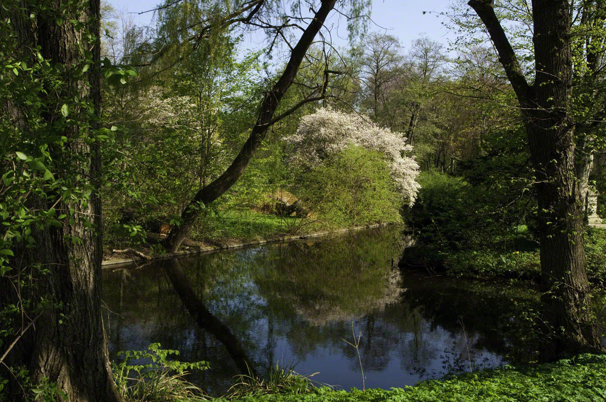 Tiergarten-2.jpg