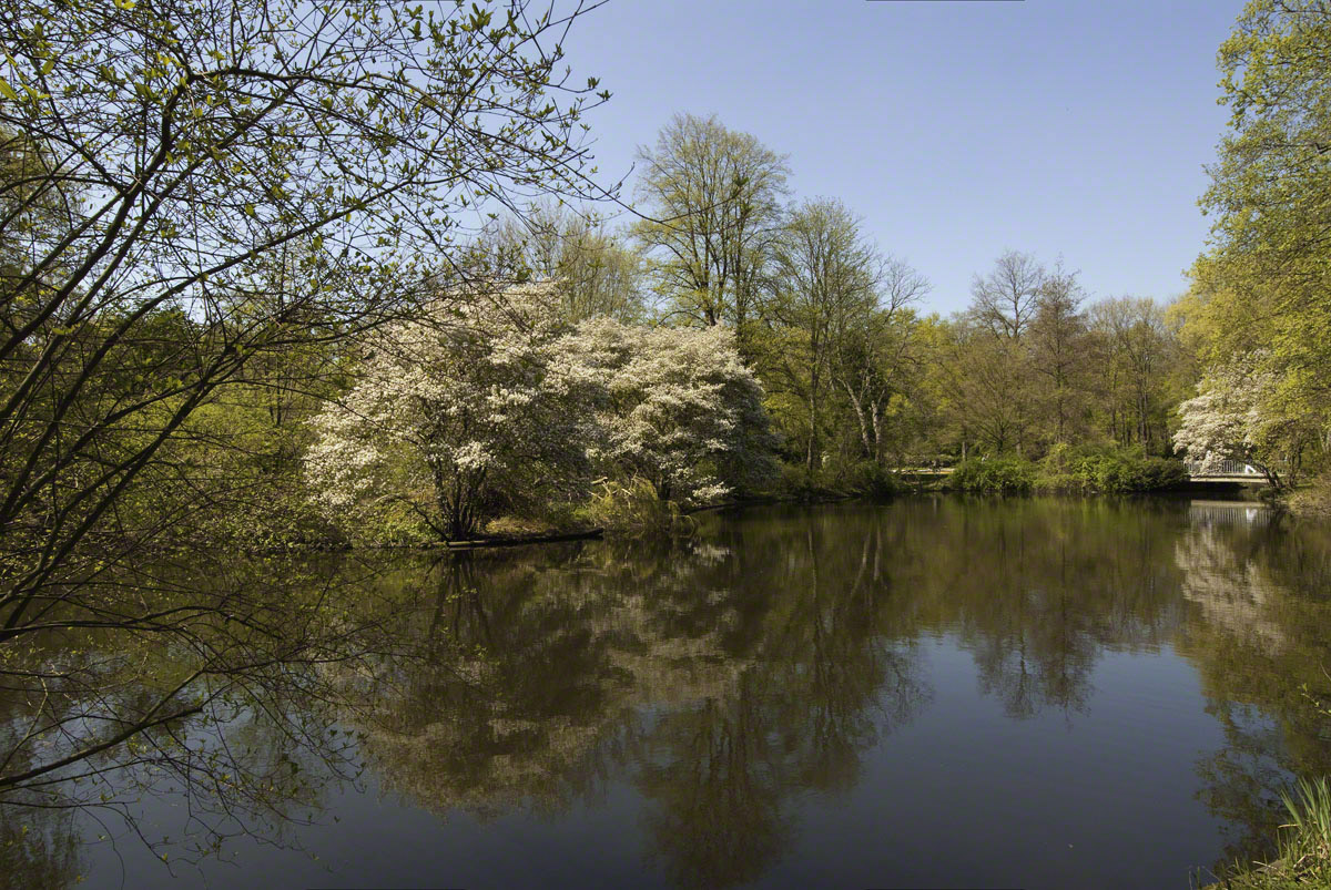 Tiergarten-4.jpg