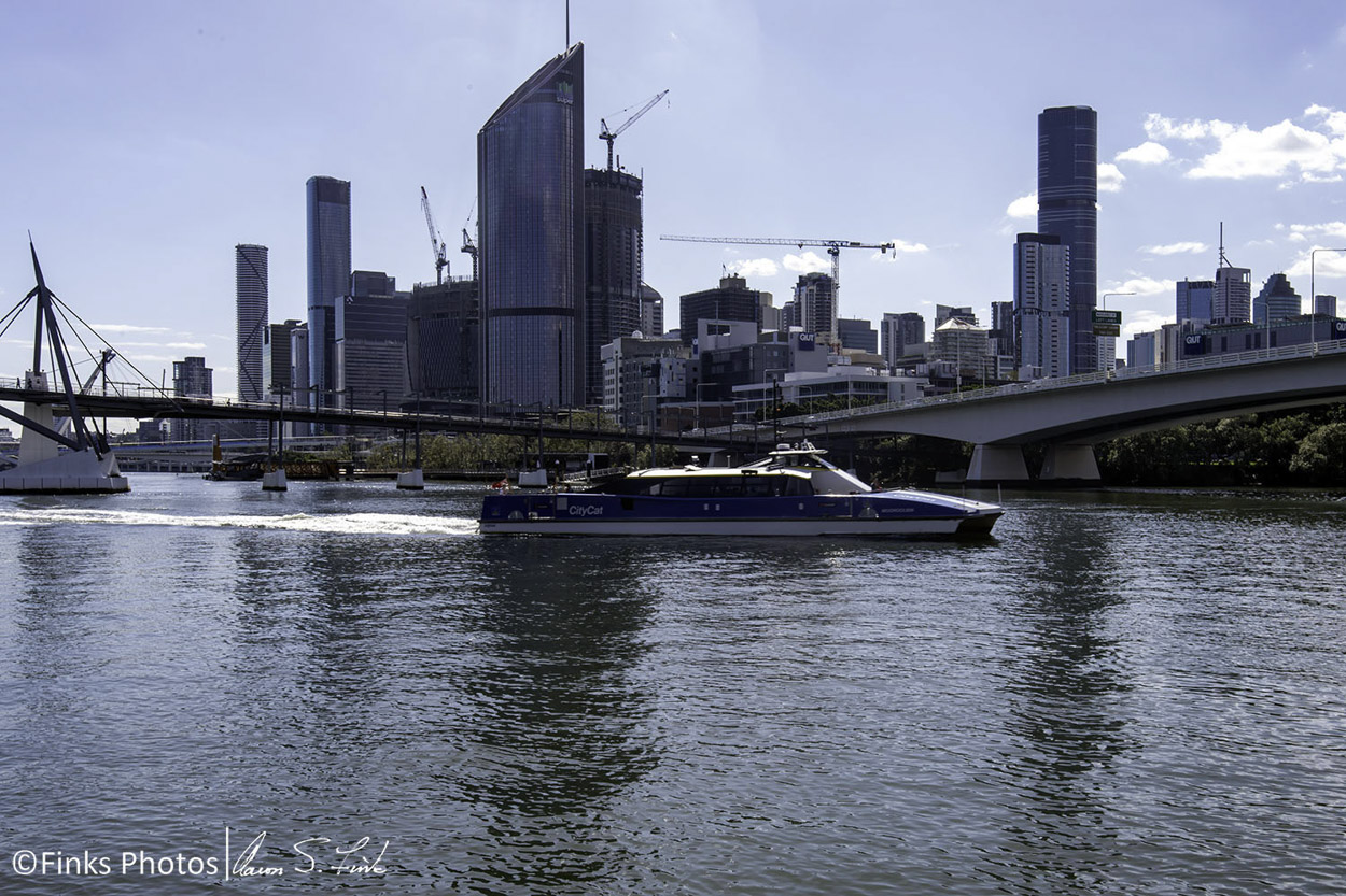 Brisbane-River-City-Cat.jpg