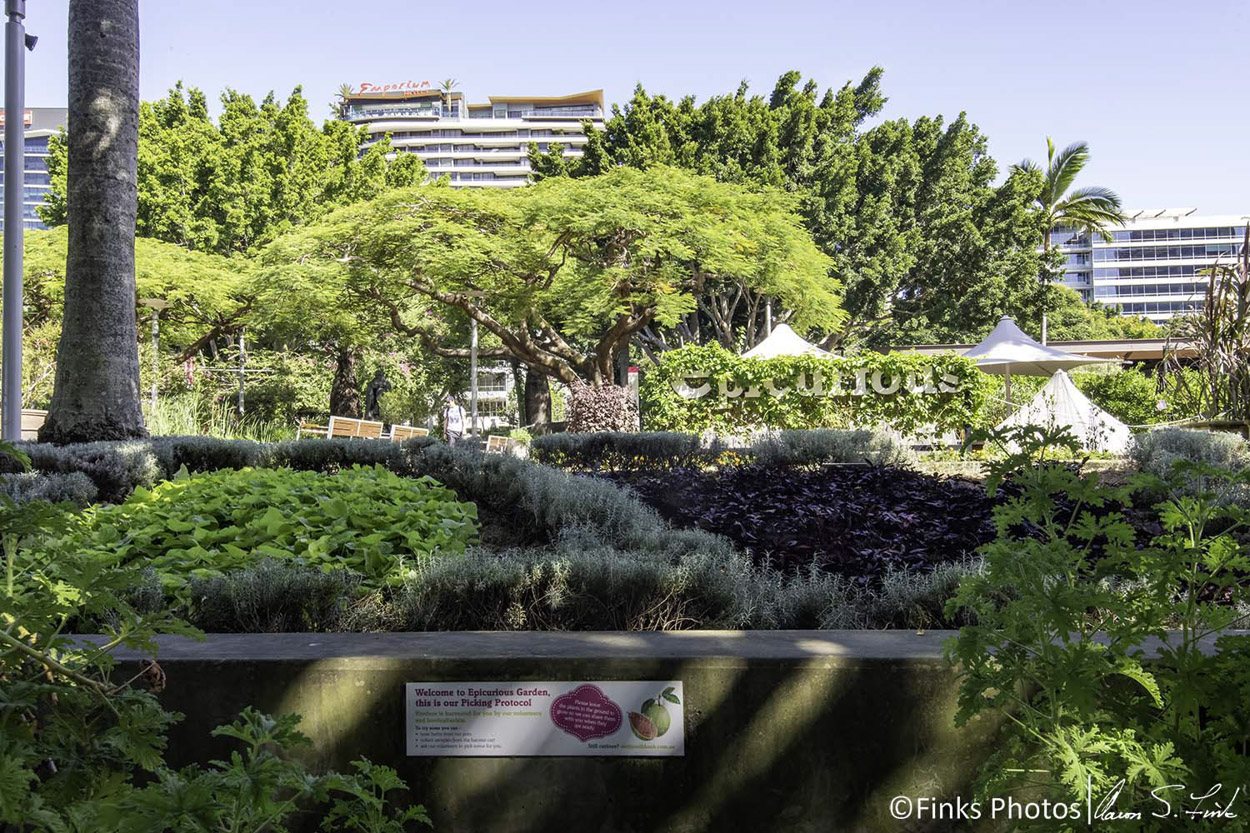 Epicurious-Garden,-Brisbane-South-Bank-Park.jpg