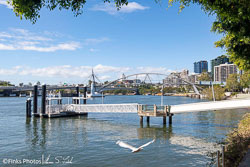 Brisbane-River-2.jpg