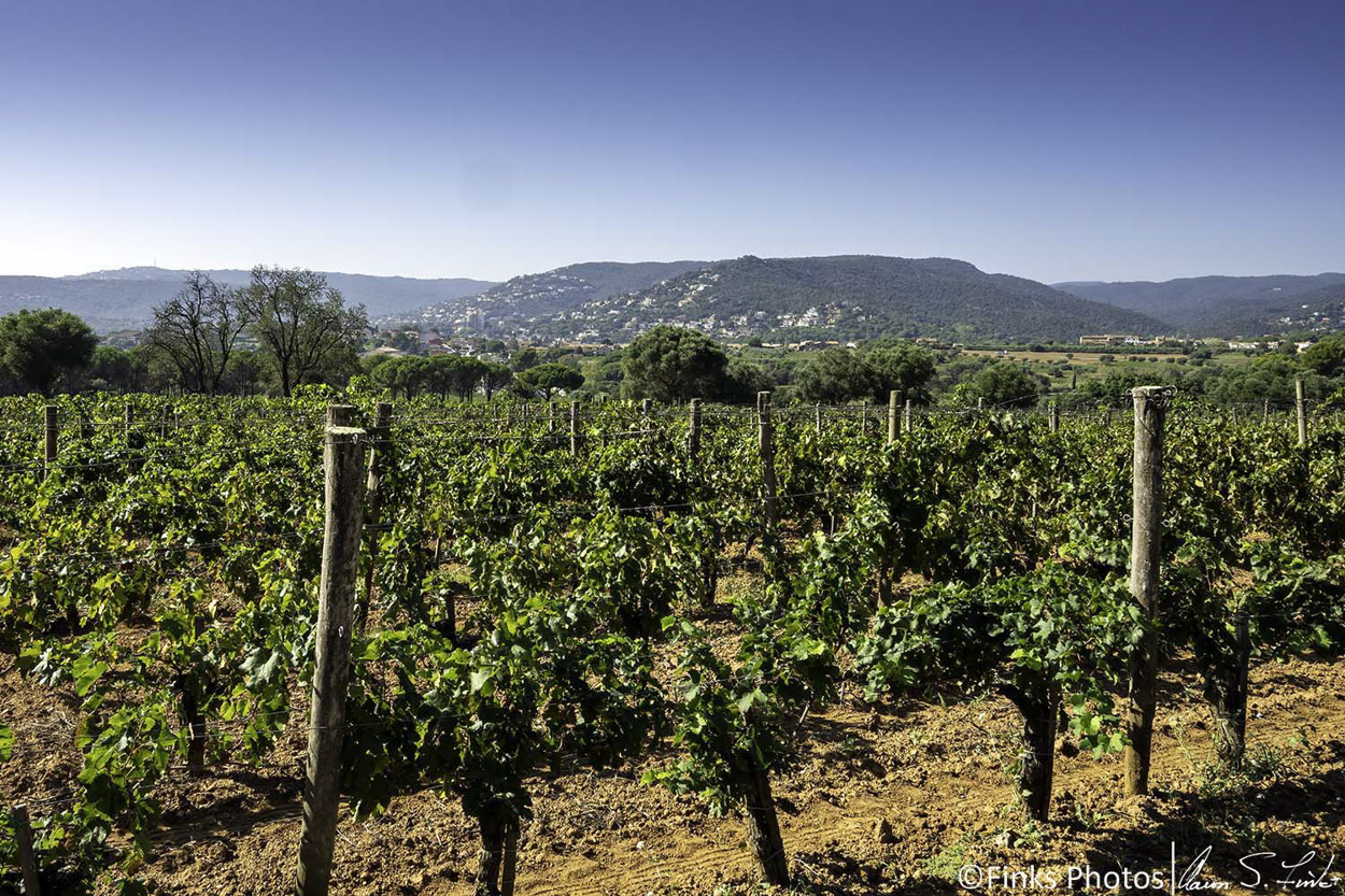 Clos-D'Agon-2.jpg