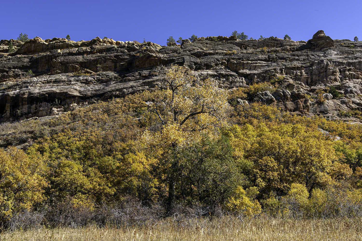 Roxborough-State-Park,-Littleton,-CA-5.jpg