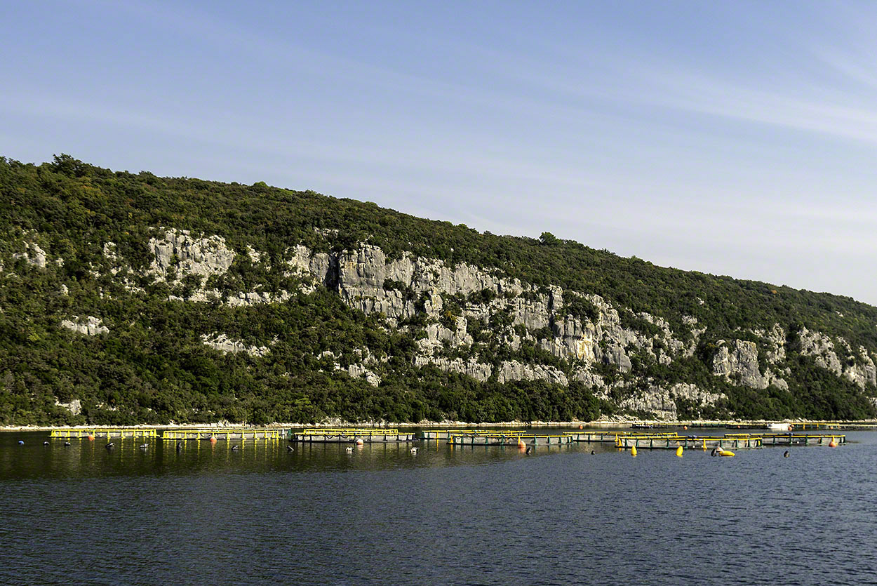 Fish-Farms,-Limski-Canal.jpg