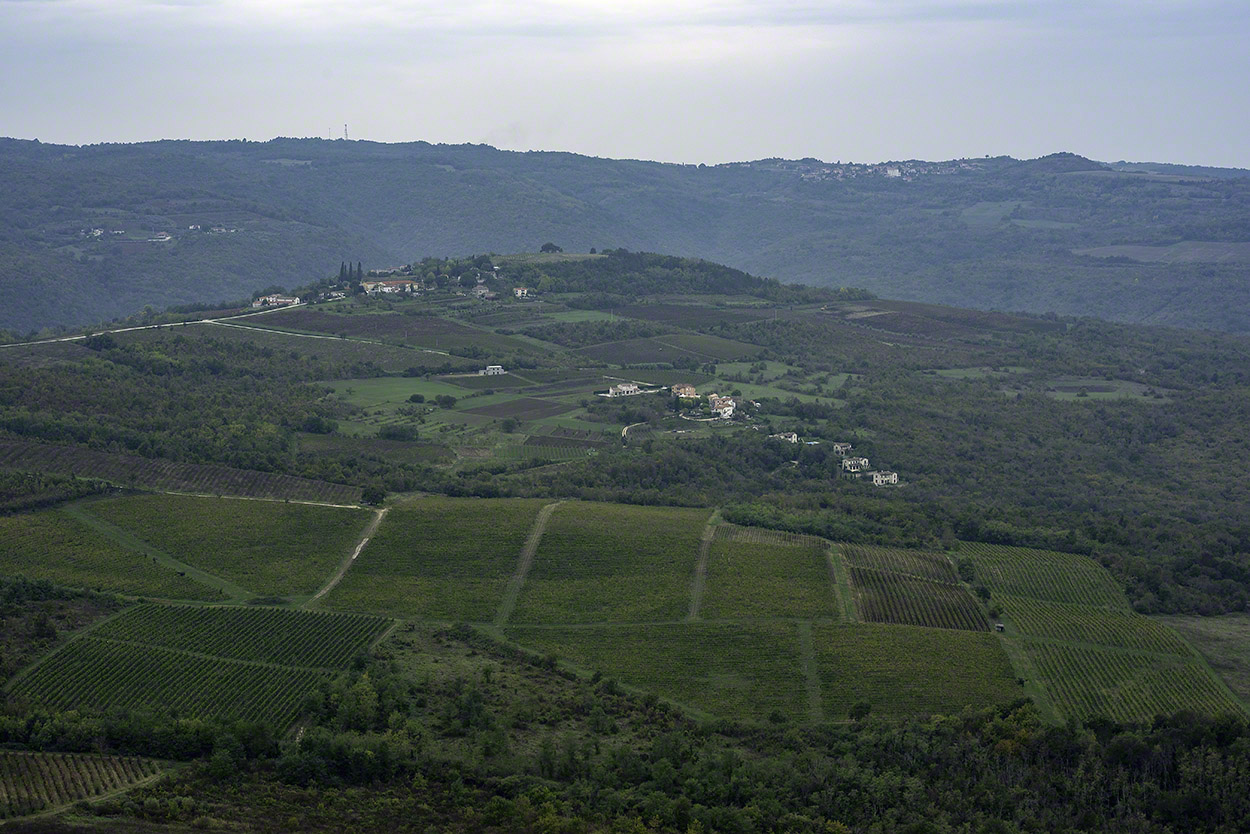 Mirna-River-Valley-from-Motovun-2.jpg