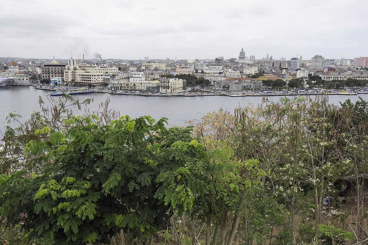 Havana-Skyline.jpg