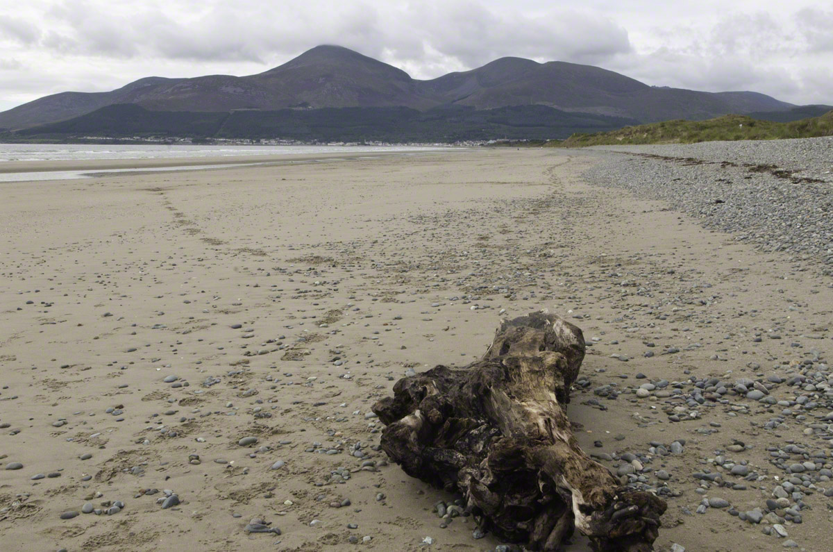 Murlough-National-Nature-Reserve-Beach-2.jpg