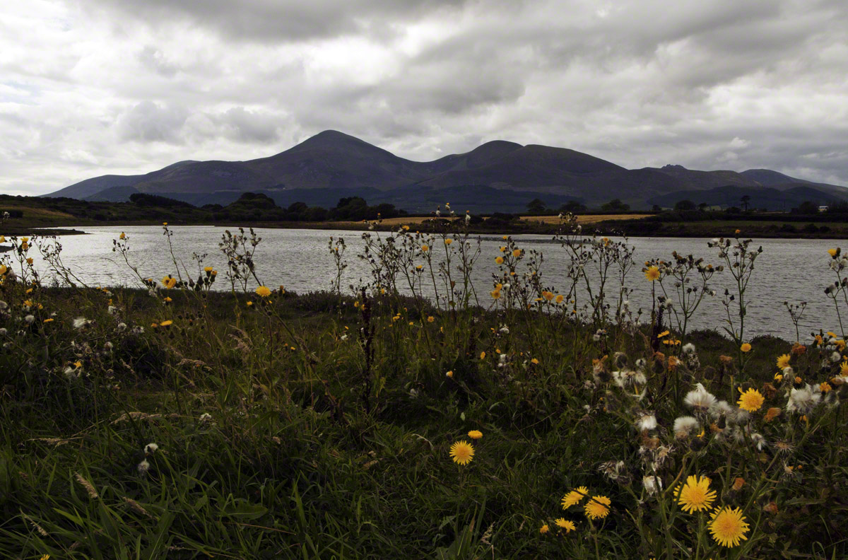 Slieve-Donard-Mountain-and-Murlough-Inner-Bay.jpg