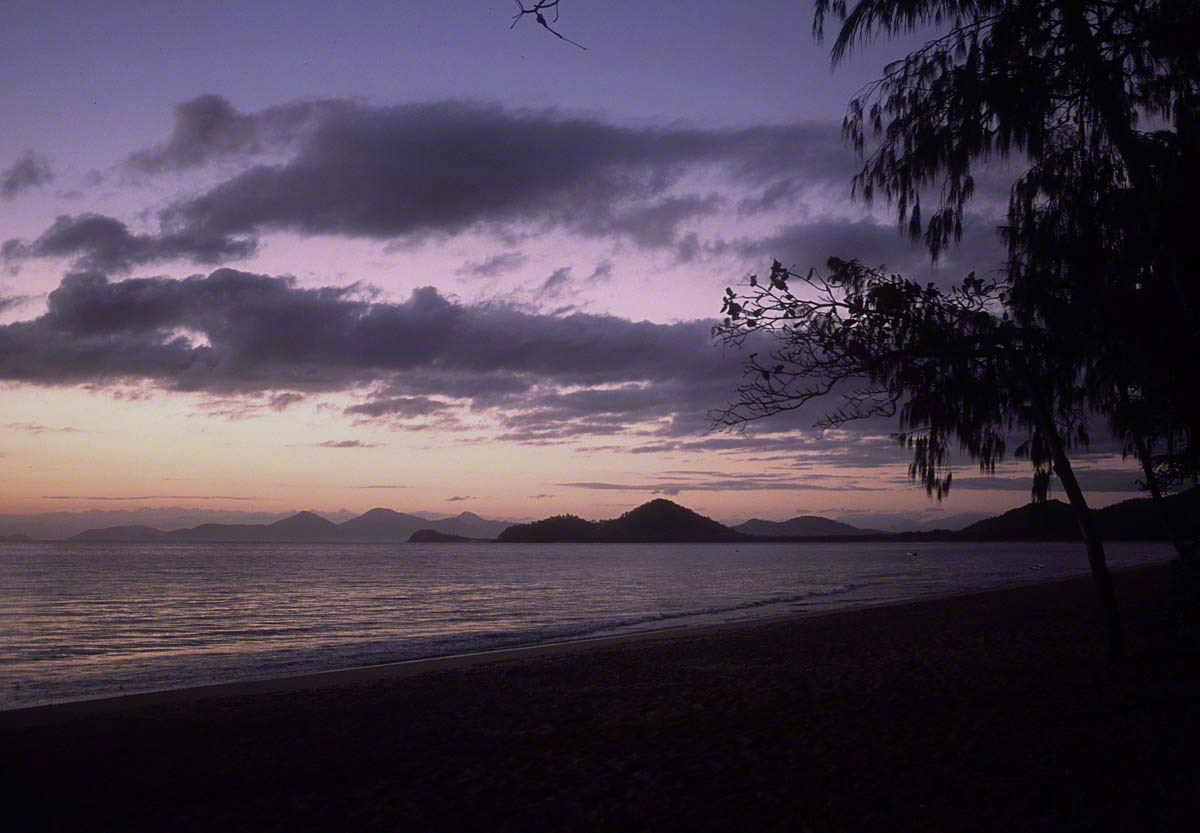 Palm-Cove-Sunrise.jpg