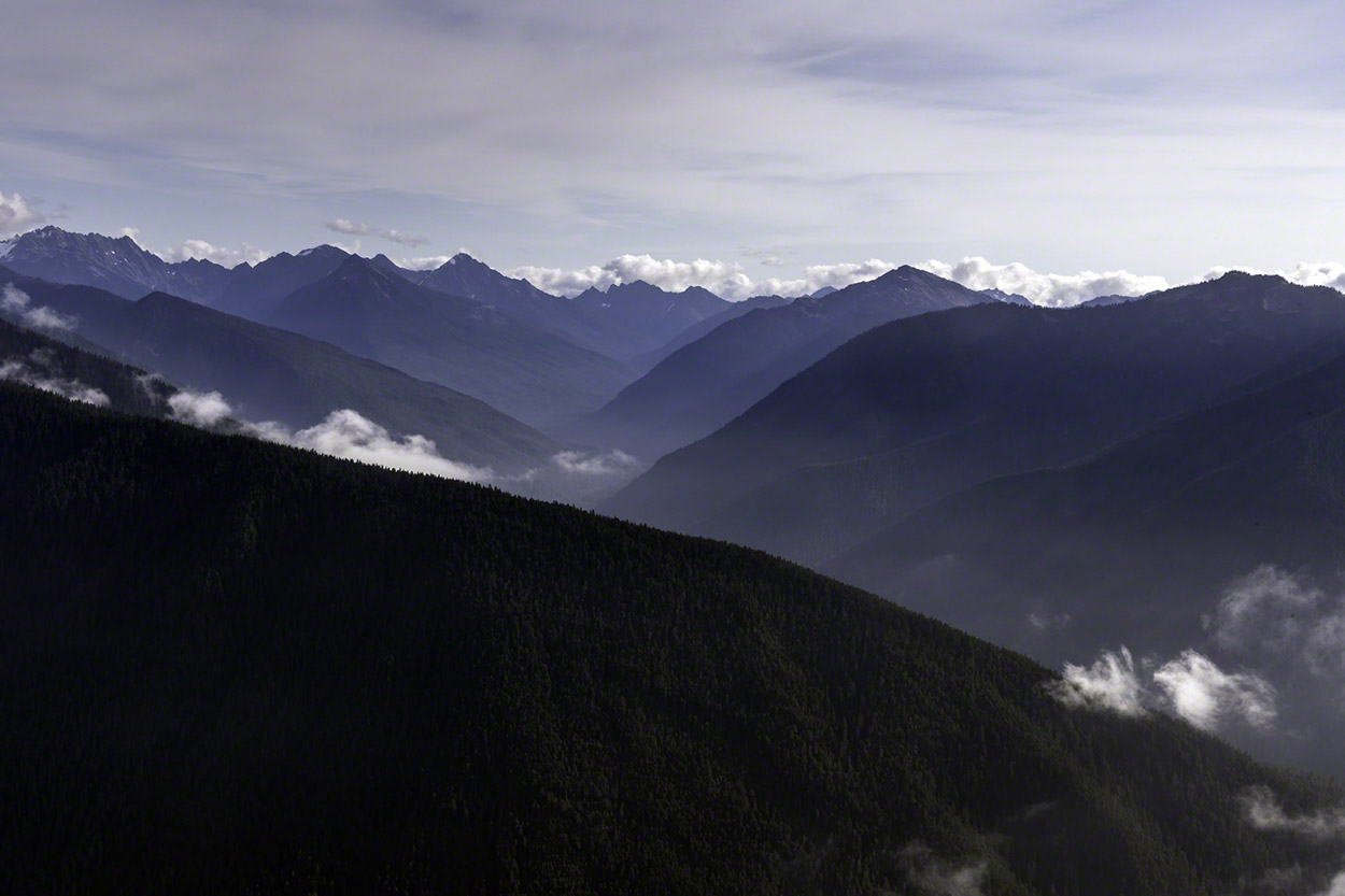 Hurricane-Ridge,-Olympic-National-Park-2.jpg