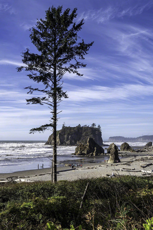 Ruby-Beach-State-Park.jpg