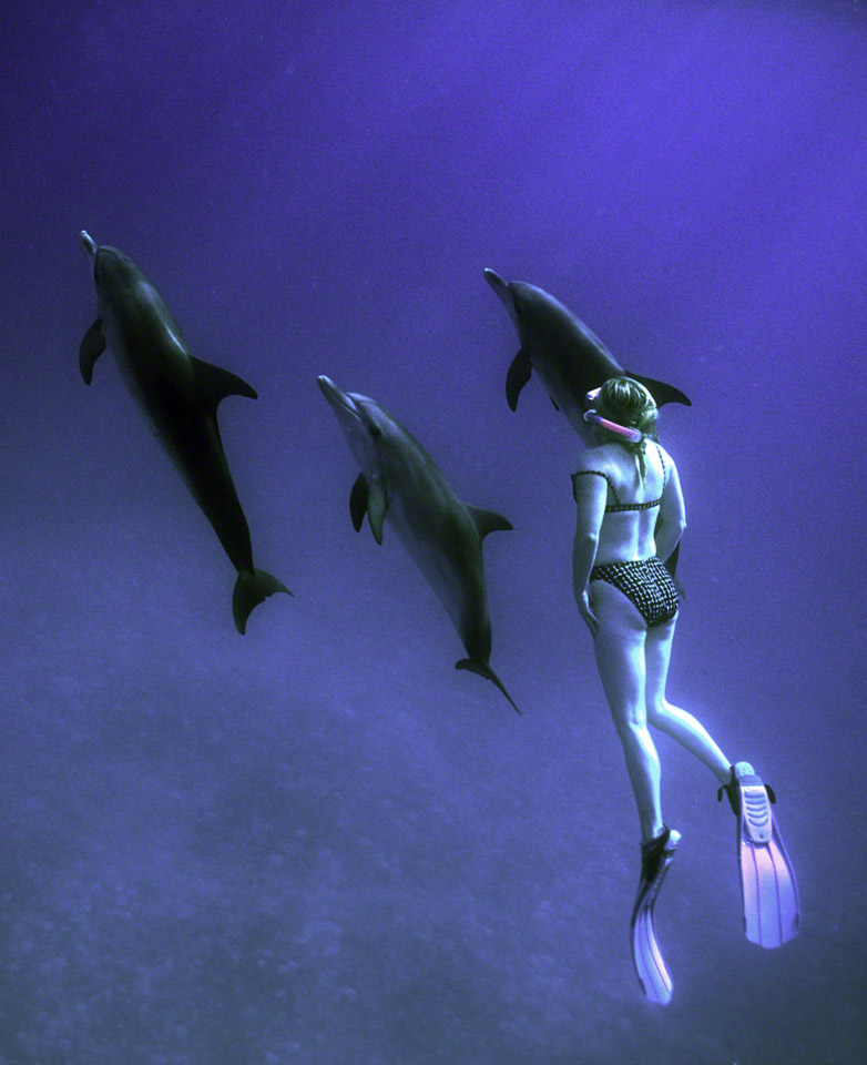 Angie-Views-the-Dolphins.jpg