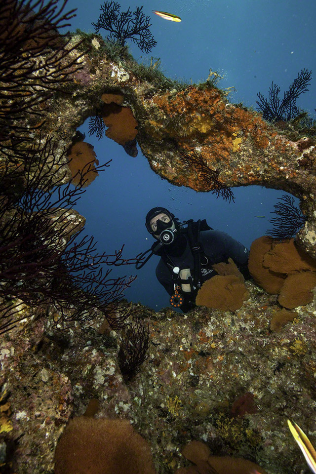 Diver-at-El-Cantil.jpg