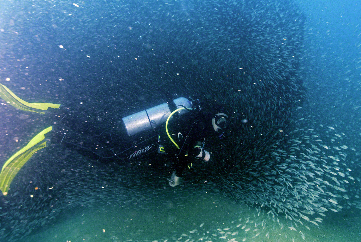 Tibo-at-Shipwreck.jpg