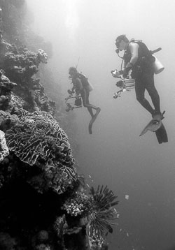 Underwater-photgraphers-in-BW.jpg