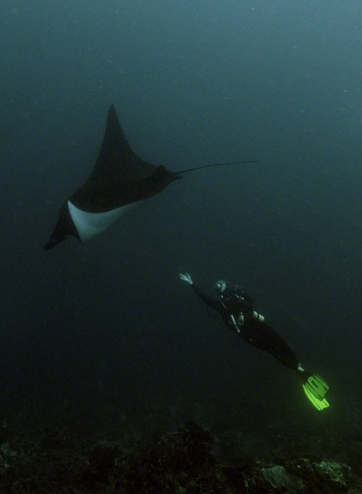 Kerri-and-Manta.jpg