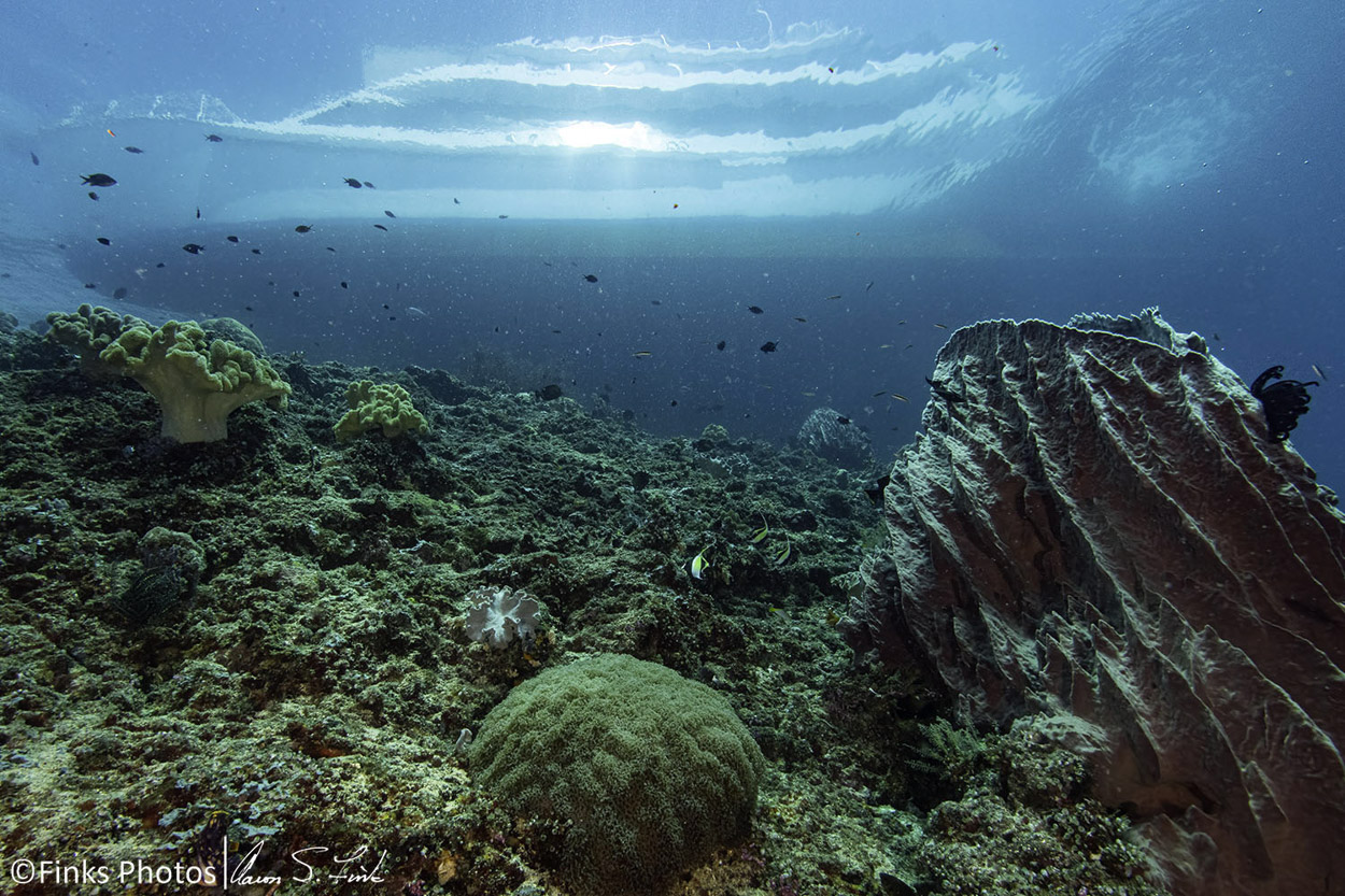 Boat-over-Reef.jpg