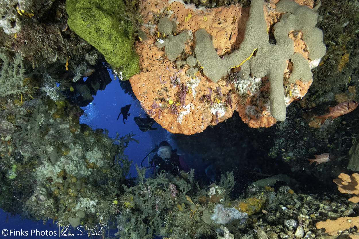 Diver-through-coral-arch.jpg