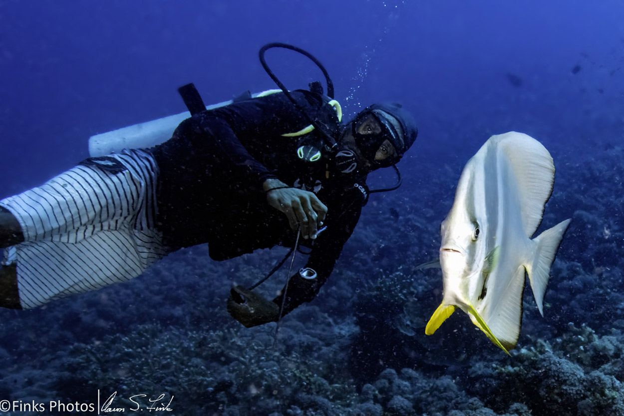 Diver-and-Longfin-Spadefish.jpg