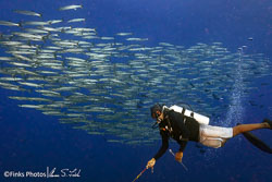 Papua New Guinea III - Fathers Reefs