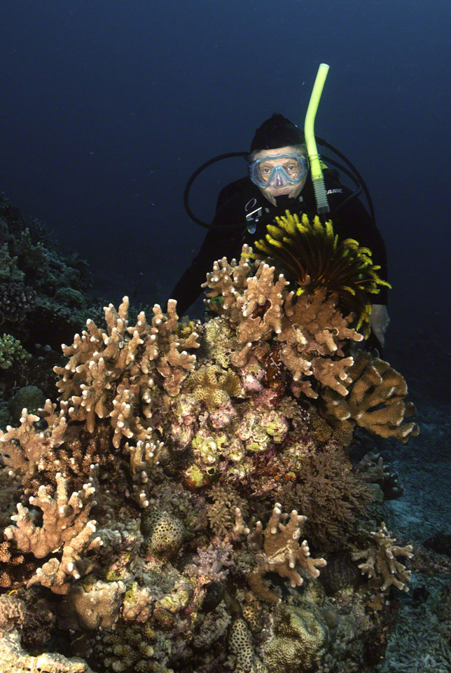 Vic-and-Crinoid.jpg